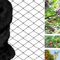 alouweekuky Filet Anti Oiseaux 15m X 15m, Filet Protection Oiseaux Noir, Utilisé pour Protéger Les Jardins, Les Plantes et Les Raisins du Préjudice(Mailles De 5 X 5 cm de Grands Trous)