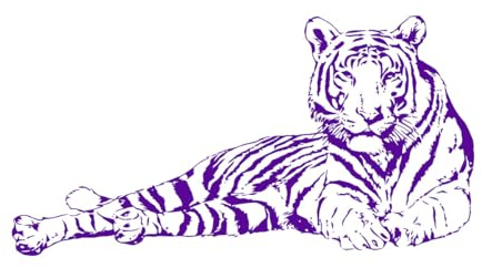 Wandaufkleber „Schlafender Tiger“, Tier, Schlafzimmer, Kinderzimmer, Safari, Afrika, Dschungeltier, Tiger, Wandtattoo, Spielzimmer, Vinyl, klein – 29 x 56 cm