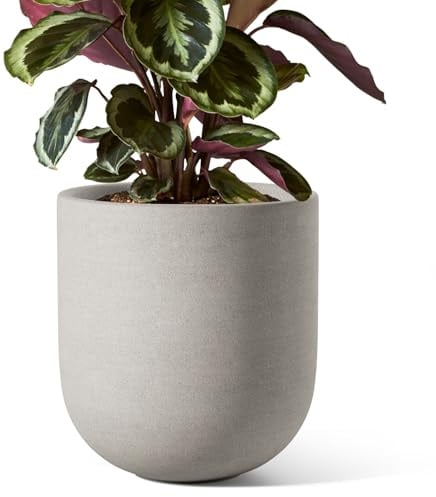 LE TAUCI Keramik Blumentopf, 20 cm, Grau