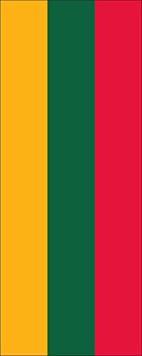 flaggenmeer® Flagge Litauen 110 g/m² ca. 200 x 80 cm mit Hohlsaum für Ausleger