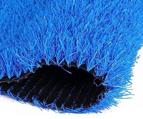 LOOQS Gazon Artificiel avec Trous de Drainage, Faux Tapis d'herbe pour entrée de décoration de Balcon de Patio (Size : 2x1cm)