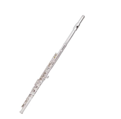 Querflöte Flöteninstrument 16 Klappen Geschlossenes Loch C-Klappe Anfänger Leistungsprüfung(Silver)