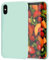Feyten Coque iPhone XS/iPhone X [avec Verre Trempé], Silicone Liquide Housse Case Anti-Choc Anti-Rayures Protection Complète Cover Étui avec Tissu Microfibre Coussin Coveri (Vert Pierre Précieuse)
