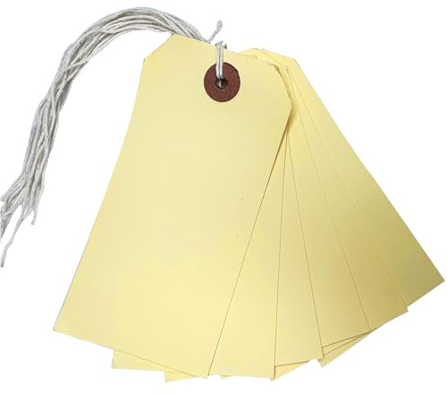 Box of 1000 Ivory Strung Tags 120mm x 60mm