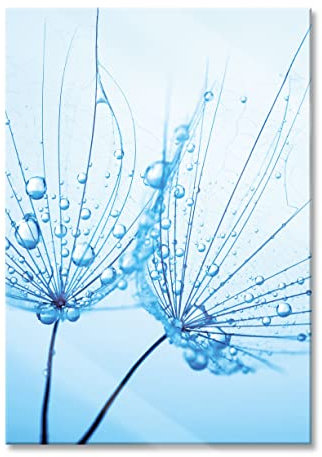 Pixxprint Glasbild, Wandbild aus Echtglas, Pusteblumen mit Tautropfen, 70x100 cm, inkl. Aufhängung und Abstandshalter