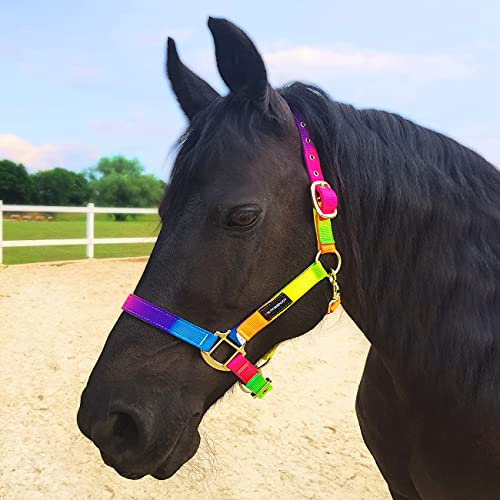 Horsenjoy Halfter Nylonnhalfter Stallhalfter Weidehalfter Pferdehalfter Tropical Heat Cob