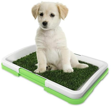 Pasto de Entrenamiento para Mascotas, tapete Reutilizable para orinar para Perros, Bandeja en Capas Resistente a Salpicaduras, Antideslizante, Lavable, Accesorio de Inodoro para Cachorros para