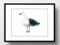 Din A4 Kunstdruck ungerahmt - Möwe Seemöwe Vogel Meer Maritim Badezimmer Aquarell Querformat Druck Poster Bild