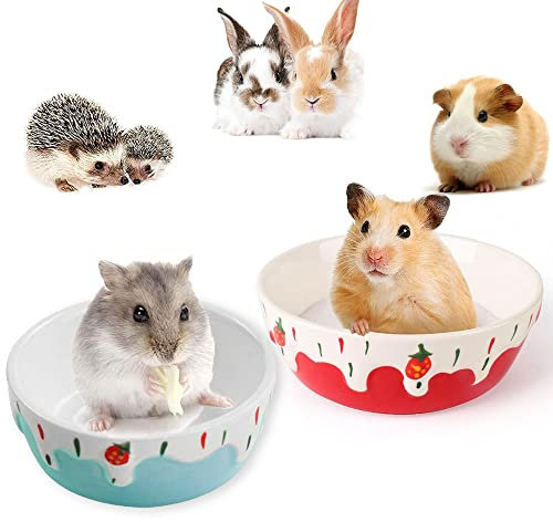 Lot de 2 Gamelle Céramique pour Petits Animaux, Gamelle Céramique Lapins pour Petits Animaux, Gamelle en Céramique Hamster, Gamelle en Céramique pour Lapin, pour Petits Rongeurs, Gerbille, Hamster