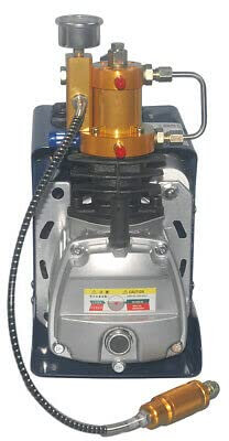 Compresseur d'air haute pression manuel - Pompe à air haute pression - 4500 Psi 300 bar - Pcp Airgun Scuba - Pompe submersible électrique à air comprimé - Version légère et légère
