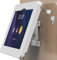 Beelta Tablet Wall Mount for Samsung Galaxy Tab A9+(11 inch), White