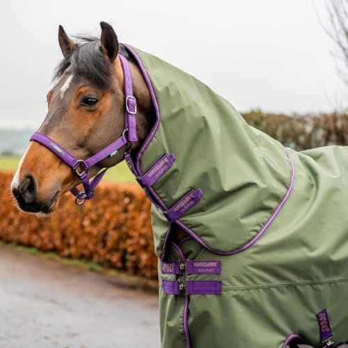 Horseware Amigo Hero 600D Ripstop 100g Turnout Decke wasserdicht bramble/Winterberry & Taupe, Größe:6'9