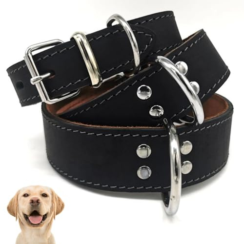 Hundehalsband Leder Schwarz Verschiedene Varianten, Extra Breit – Starkes Echtleder Halsband für alle Hunde, Verstellbar mit Metallschnalle, Lederhalsband für Alltag & Training (Schwarz, 4 x 65 cm)