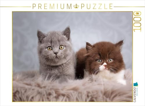 CALVENDO Puzzle EIN Motiv aus dem Kalender Kleine Stubenstiger | 1000 Teile Lege-Größe 64 x 48 cm Foto-Puzzle für glückliche Stunden