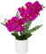 Kunstblume Orchidee Künstlich Phalenopsis Blumen im Keramiktopf Kunstpflanze für Home Office Hochzeit Heiratsantrag Dekoration Weiß Rosa Violett