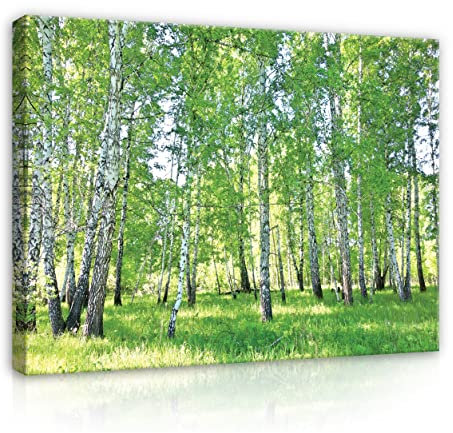 WallArena - Leinwand Bilder - Wald Grün Natur Landschaft - 80x60 cm Leinwandbilder - Bild auf leinwand - Wandbild XXL groß Wandbilder für Wohnzimmer Schlafzimmer Wohnzimmerbilder Modern