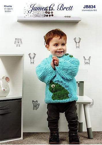 James Brett Chunky Knitting Pattern for Childrens Dinosaur or Bear Sweater (JB834)