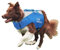Rettungsweste Schwimmhilfe für Hund Chill Out - Dog Life Jacket - Größe M
