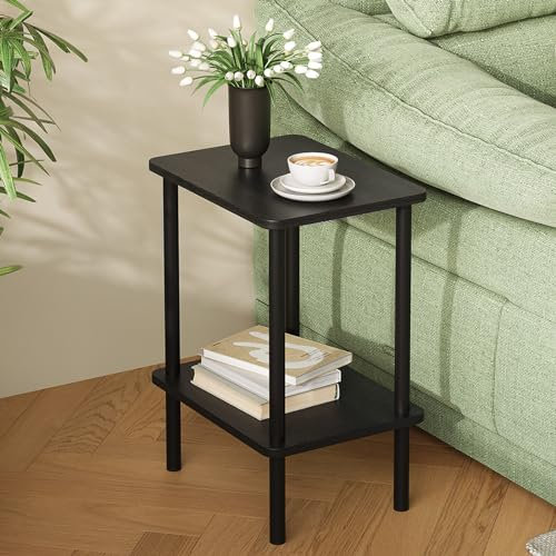 APICIZON 2 Tier Side Table, Narrow End Table with Storage Shelf, Bedside Table Nightstand for Small Spaces, Bedroom, Living Room, Entryway, Farmhouse, No-Tool Assembly, Black