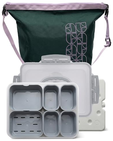 GIRAFFYCO Tragbare Snackbox mit Abtropfeinsatz, Kühltasche & Kühlakku | 6 Fächer mit separaten Deckeln, BPA-frei, spülmaschinengeeignet mit Kühlakku für Picknick, Ausflüge & Strand, Grau Blau