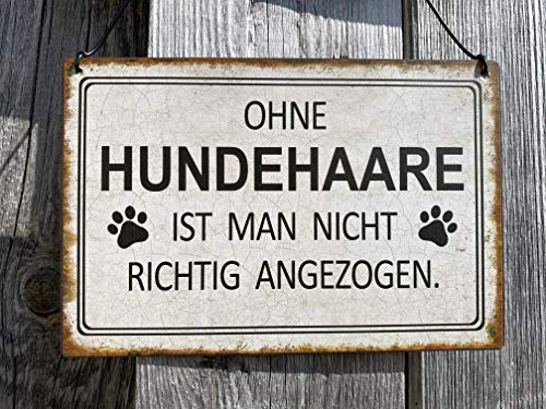 Rostalgie Metall Mini Schild - Ohne Hundehaare - 15 x 10 cm Wandschild Dekoration