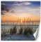 Feeby Vlies Fototapete Meer Sonnenuntergang 250x250 cm Orange Wanddeko Inklusive Kleister Hotel Spa Büro Wohnzimmer Schlafzimmer Flur Strand Sand Himmel Gras