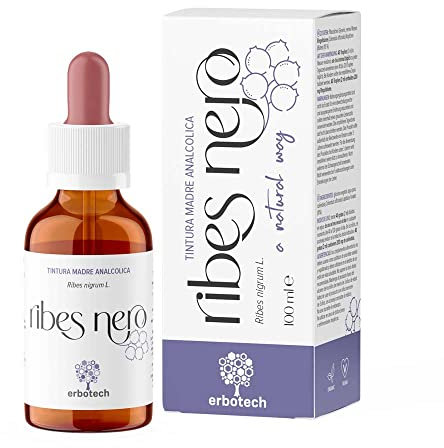 ERBOTECH, Tintura Madre di Ribes Nero, Tintura Madre Analcolica a Gocce da Diluire in Acqua, Vegan, non Deriva da Piante OGM, Made in Italy, 100 ml