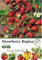 Strawberry Regina Seeds in Pictorial Packet - 200 Seeds