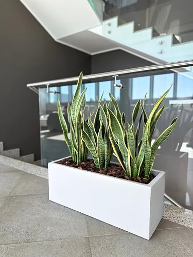 Kloris Portavaso Fioriera Cassetta rettangolare moderna Mod. OASI cm 100x30 h 30 profondità 17 cm Bianco polietilene Alta qualità Made in Italy