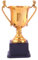Fiorky Coppa trofeo Gold Award per vincitore del primo posto Coppa trofeo d'oro Altezza 17,5/22 cm Pallacanestro Calcio con Manico e Base Competizione Sportiva per Divertimento Festa per bambini