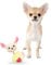 Pet London Chihuahua Character Tiny Dog Toy - Teacup Breed Plush Squeaky Dog Toy For Long & Short Hair Chihuahua Puppy & Adults (Lola (Yellow))