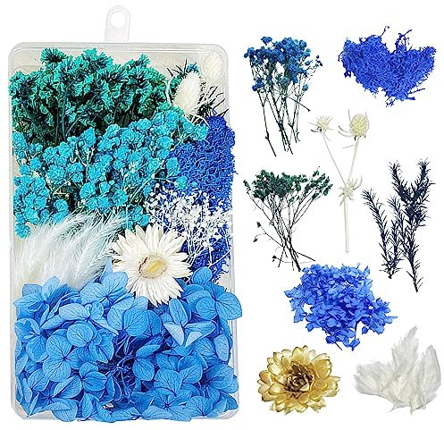 Trockenblumen zum Basteln Trockenblumen Deko Trockenblumen Klein Getrocknete Blumen Deko Trockenblumen Basteln Trockenblumen Set für DIY Basteln Handwerk Epoxidharz Scrapbooking Deko(Blau) C-047D