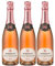Crémant de Bourgogne Brut MAGNUM - Rosé - Maison Moingeon - Vin Rosé de Bourgogne (3x150cl) Effervescent