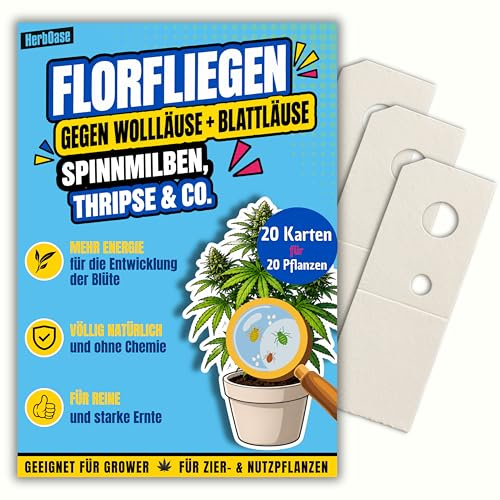 HerbOase Florfliegenlarven gegen Blattläuse und Wollläuse, Spinnmilben, Thripse & Co. - Karte zum einfachen Aufhängen - 20 Karten für 20 Pflanzen - Starke Wirkung bei Cannab.-Nutz.- & Zierpflanzen