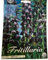 Blumenzwiebeln in Geschenkverpackung - Zwiebeln, Knollen verschiedener winterharter Pflanzen für Garten und Balkon - bunt (2 XL Zwiebeln Fritillaria Persica(Persische Kaiserkrone))