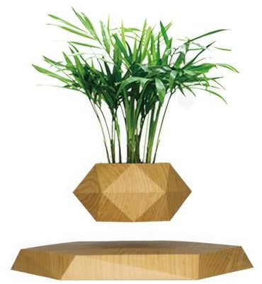 Pots de fleurs en lévitation magnétiques flottants pour plantes grasses, fleurs et plantes en pot, décoration moderne pour la maison et le bureau (noir)