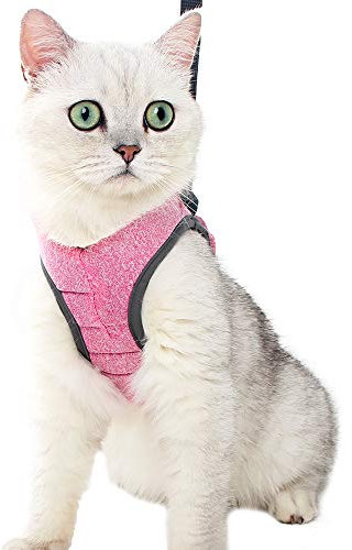 Katzengeschirr und Leine Ultraleicht für Fluchtschutz Verstellbarer weicher Netzschritt in gepolsterter Polsterung Laufweste Jacke für Kätzchen Haustiere Welpe Rosa