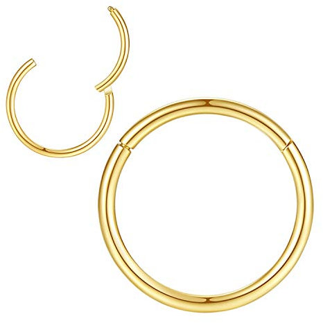 0,8mm 5mm Reifen Nasenringe für Männer und Frauen Nasenring Nasenring Reifen Gold Septum Clicker Scharnierring 316L Chirurgenstahl Körper Piercing Ohrringe für Knorpel Helix Ohrkolben Daith Rook