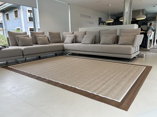 Tejidos EL MUNDOAlfombra vinilica de Tejido Trenzado de Alta Gama Lavable Antideslizante Alfombra Resistentes para Salon Cocina baño Pasillo - 170x240 cm., Border-Beige