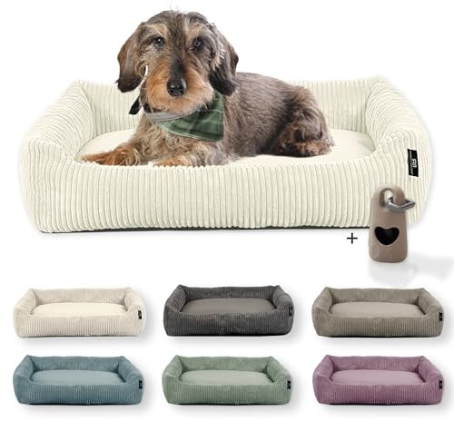 Rohrschneider Hundebett waschbar | für kleine und mittelgroße Hunde | mit Hundekissen Cord | 2 Größen (ca. 55x42 cm/ca. 70x50 cm) inkl. Gassibeutel (Vanille, Cordstoff breit)