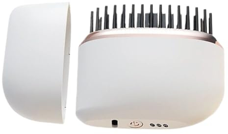 Mini fer à lisser à chauffage rapide – Brosse coiffante rechargeable et peigne chaud pour cheveux, idéal pour la maison, les voyages, les vacances, une utilisation intérieure et extérieure, compact, l