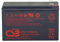 CSB UPS12580 F2 - Batteria al piombo AGM, 12 V, 9,4 Ah, 580 W