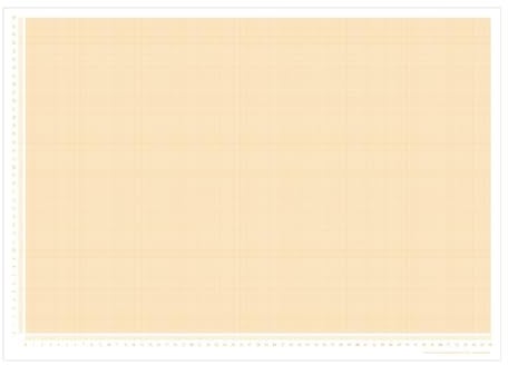 PuK Schreibtischunterlage Millimeterpapier | DIN A2 | seitlich abgedrucktes Lineal | 25 Blatt zum Abreißen | mathematisches Papier | zum Beschreiben und Skizzieren (DIN A2)