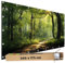 TRIOSK Große Motivplane Sichtschutz Zaunblende mit Motiv Waldpfad Wald Sonnenweg Motivbanner Garten Deko Plane Blickdicht für Zaun Terrasse Gartenzaun Zaunplane PVC 340x173 cm