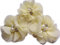 YYCRAFT 20 Stück Chiffon Blumen mit Strass und Perlen Hochzeit Dekoration/Haar Accessoire Handwerk/Nähen Craft(Cremefarben,5cm)