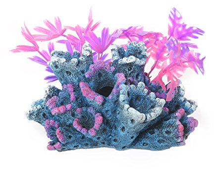 Rosewood Blue Ribbon FANTASY REEF WITH PLANTS