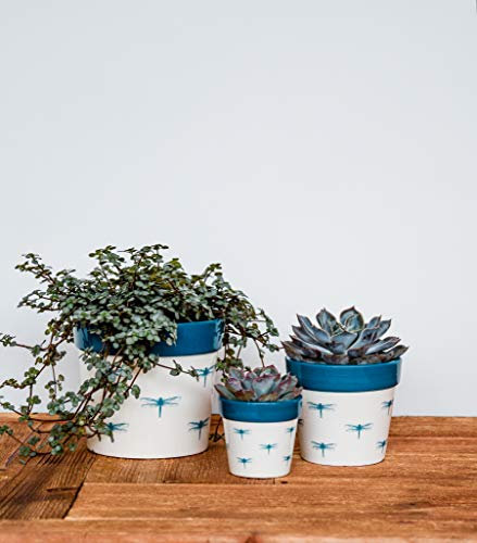 Ivyline Cacti Planter Dragonfly 10cm D10Cm, White/Blue
