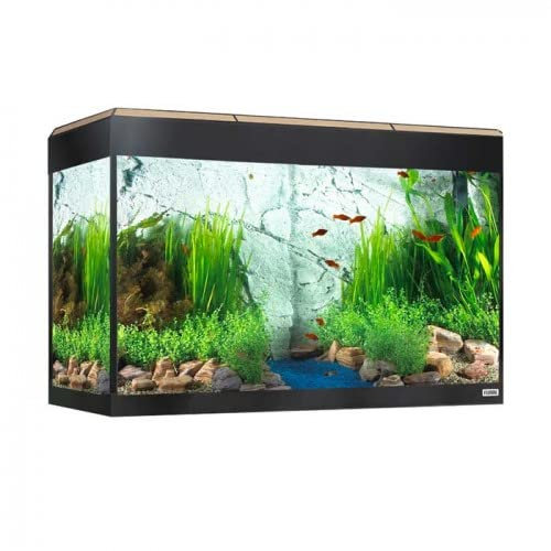Fluval Aquarium Roma Bluetooth LED Beleuchtung 125 Liter Eiche