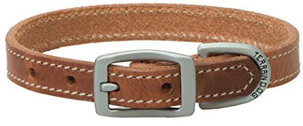 Terrain D.O.G. Harness Leather Dog Collar