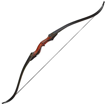 FZYE Bogen für Bogenschießen Anfänger Recurve Bogen und Pfeil für Erwachsene Anfänger, Outdoor Training Schießübungen Takedown Compound Bow Kit Jagd Schießen